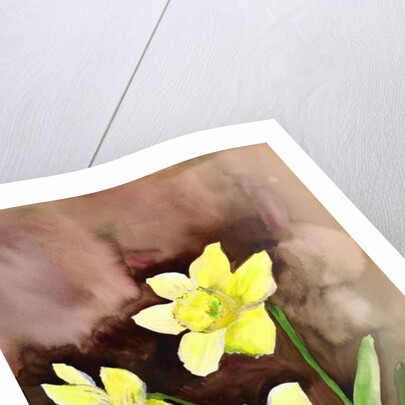 golden daffodils, 2002 by Neela Pushparaj