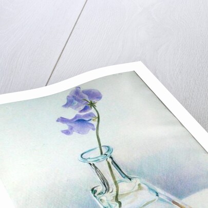 Ricard Bottle, 1981 by Alan Byrne