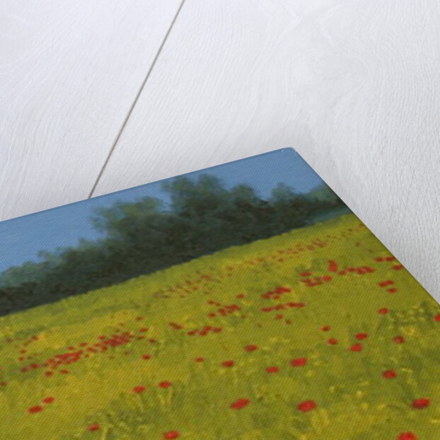 Yellow Field with Poppies, 2002 by Alan Byrne