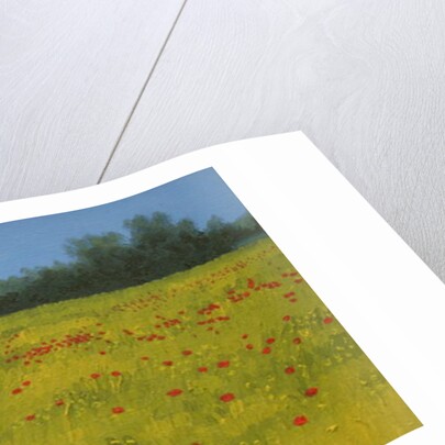 Yellow Field with Poppies, 2002 by Alan Byrne