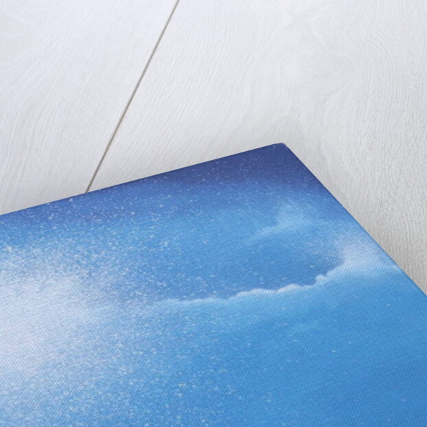 Sea Picture III, 2008 by Alan Byrne