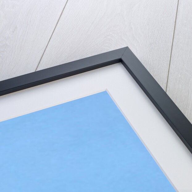 Sea Picture IV, 2008 by Alan Byrne