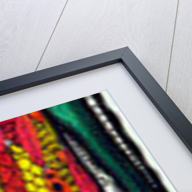 Giraffe, 2014 by Muktair Oladoja