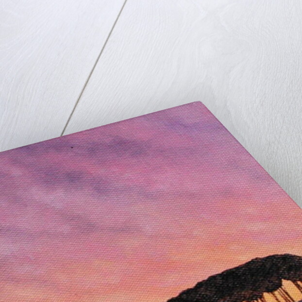 Distant Pines by Ann Brain