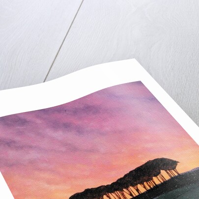 Distant Pines by Ann Brain