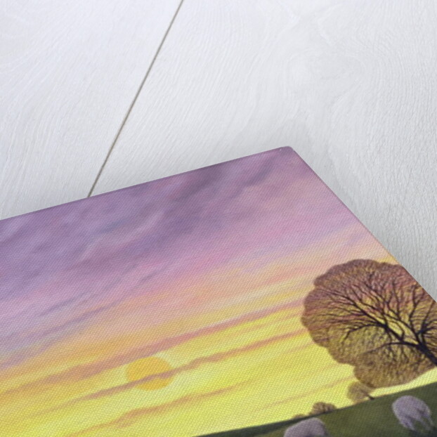 Barratt's Hill, 2004 by Ann Brain