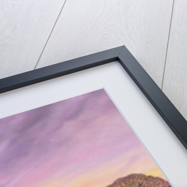 Barratt's Hill, 2004 by Ann Brain