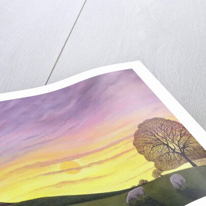 Barratt's Hill, 2004 by Ann Brain