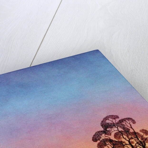 Path through the Pines, 2004 by Ann Brain