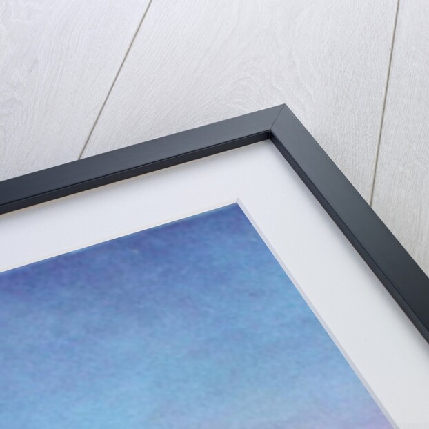 Path through the Pines, 2004 by Ann Brain