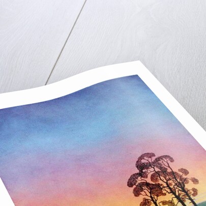 Path through the Pines, 2004 by Ann Brain