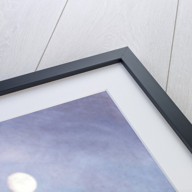 Moonlit Night, 2004 by Ann Brain