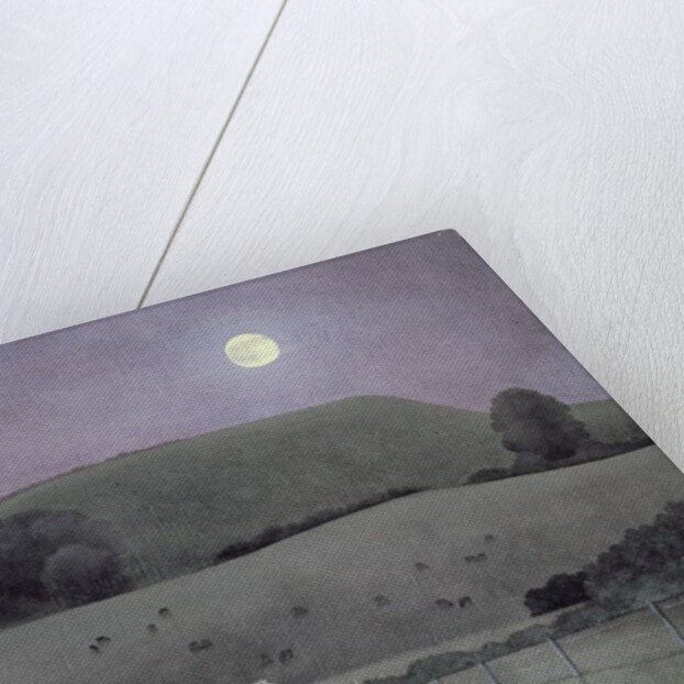 Horse in Moonlight, 2005 by Ann Brain