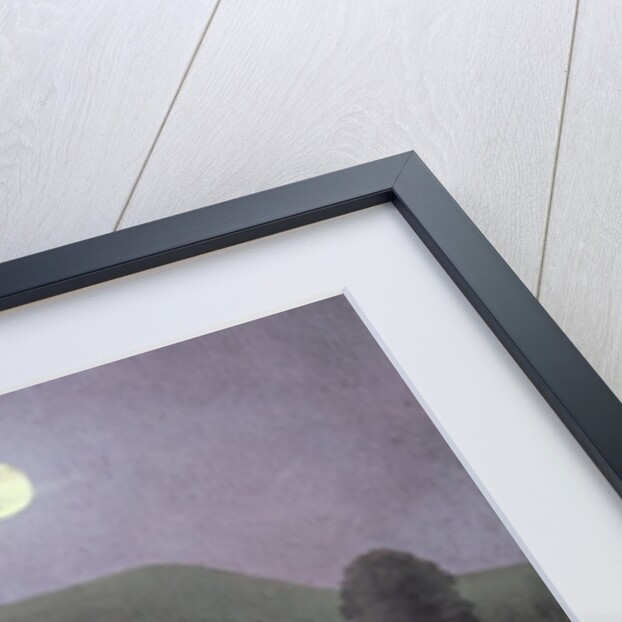 Horse in Moonlight, 2005 by Ann Brain