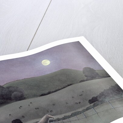 Horse in Moonlight, 2005 by Ann Brain