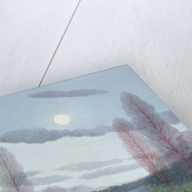 Pale Moon, 2002 by Ann Brain