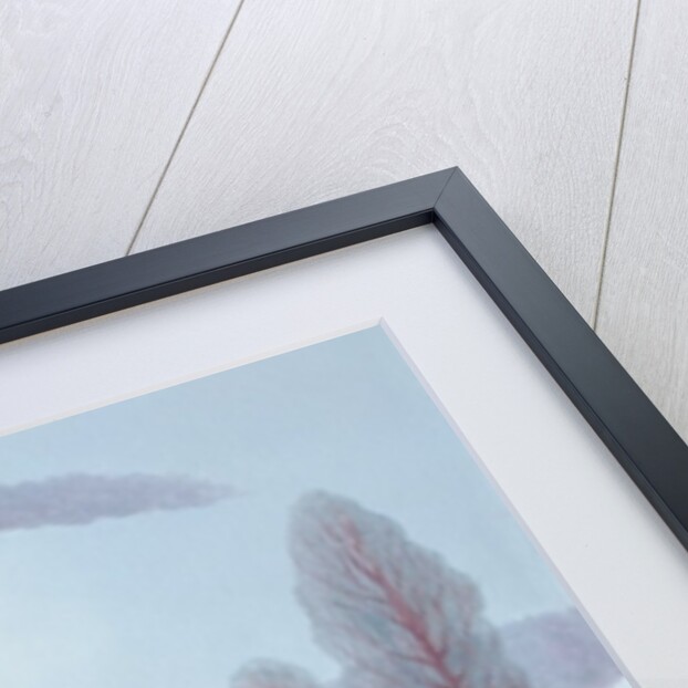 Pale Moon, 2002 by Ann Brain