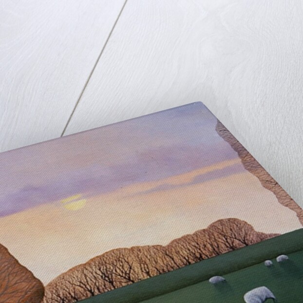 December Dusk, 2008 by Ann Brain