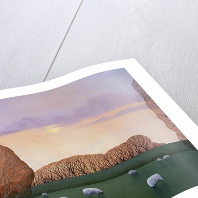 December Dusk, 2008 by Ann Brain