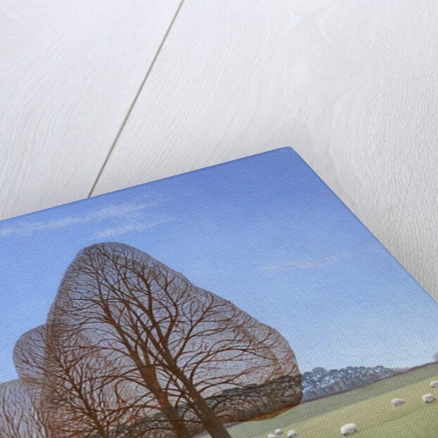 October Afternoon, 2008 by Ann Brain