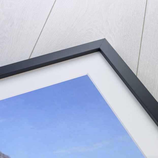 October Afternoon, 2008 by Ann Brain