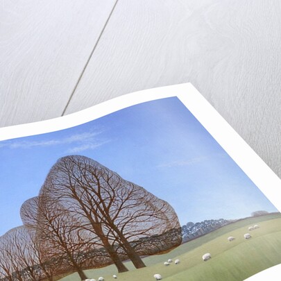 October Afternoon, 2008 by Ann Brain