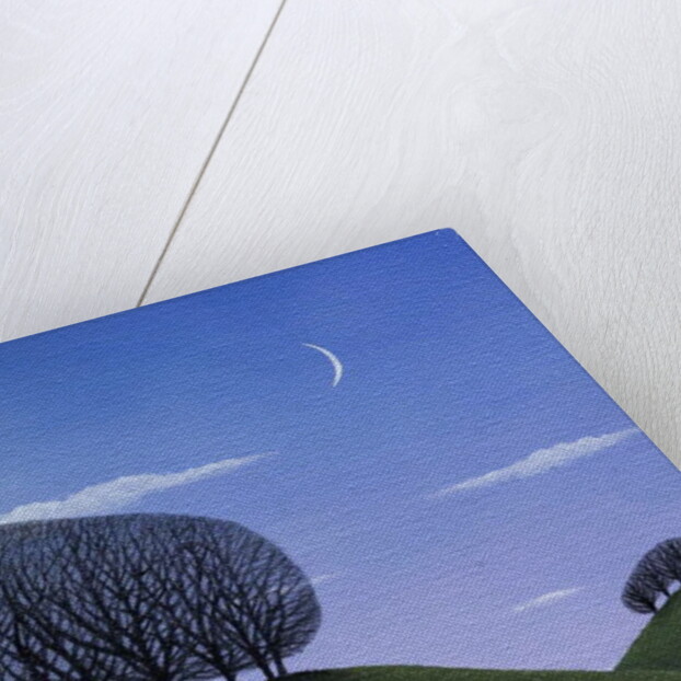 Moorise, 2017 by Ann Brain