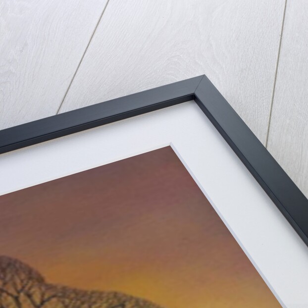 Setting Sun, 2013 by Ann Brain