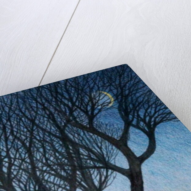 Trees and Moon, 2015 by Ann Brain