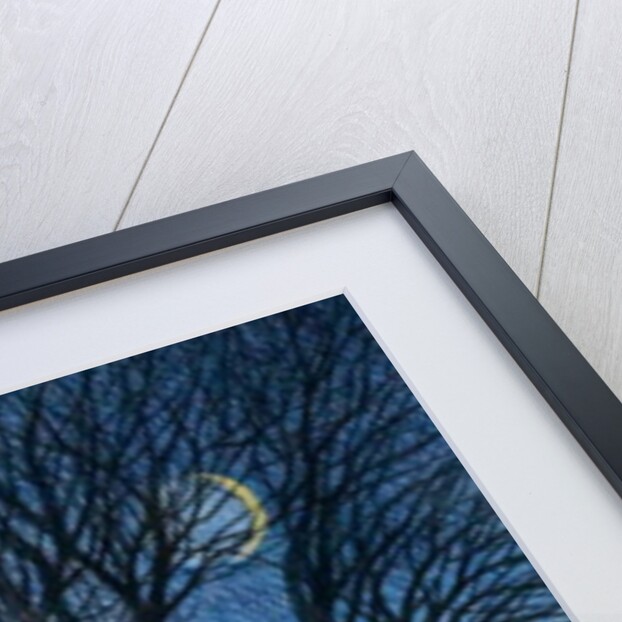 Trees and Moon, 2015 by Ann Brain