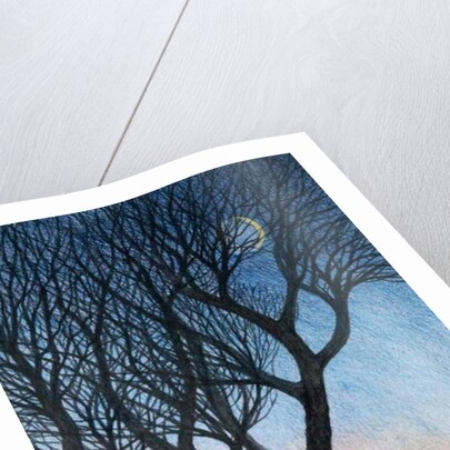 Trees and Moon, 2015 by Ann Brain