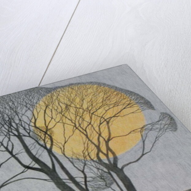 Megamoon, 2011 by Ann Brain