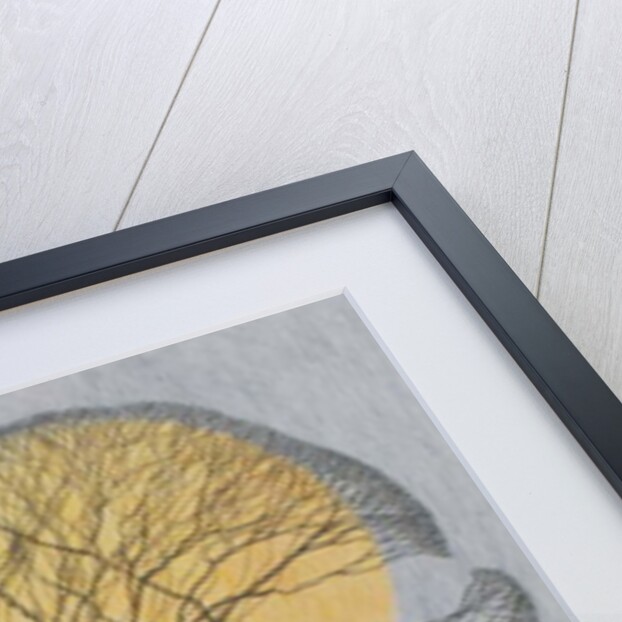 Megamoon, 2011 by Ann Brain