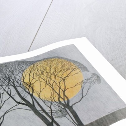 Megamoon, 2011 by Ann Brain