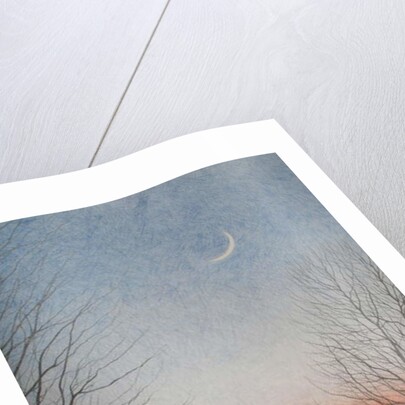 Early Evening, 2010 by Ann Brain