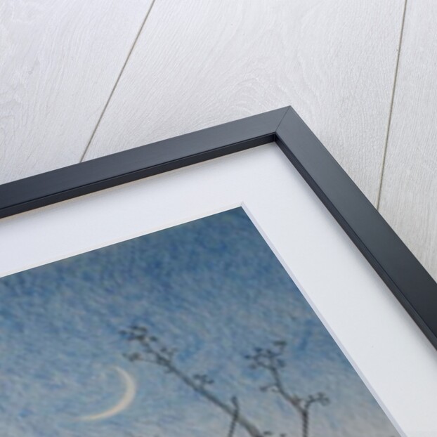 From my Window, 2011 by Ann Brain