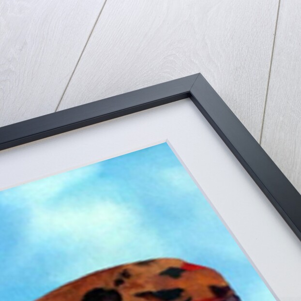 Cake in a Landscape, 1988 by Ann Brain