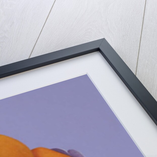 Hazel's Bowl, 2009 by Ann Brain