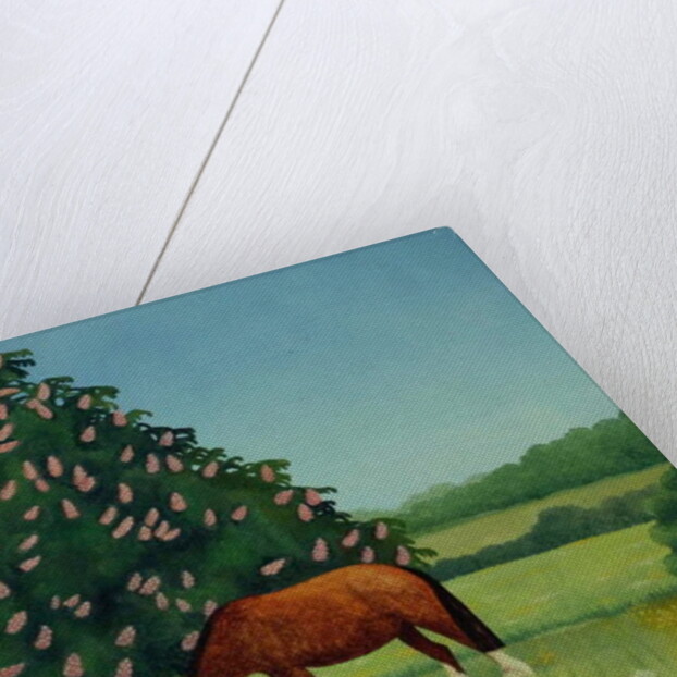 Horse Chestnut, 2001 by Ann Brain