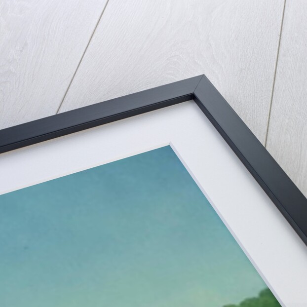 Horse Chestnut, 2001 by Ann Brain