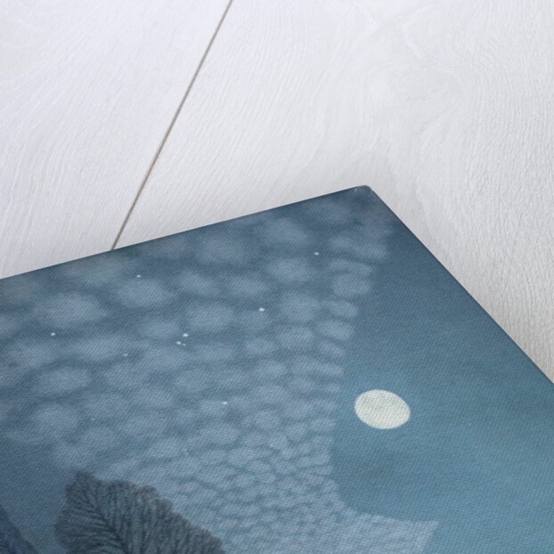 October Night, 2003 by Ann Brain