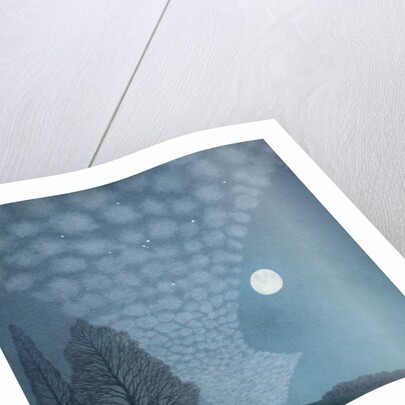 October Night, 2003 by Ann Brain