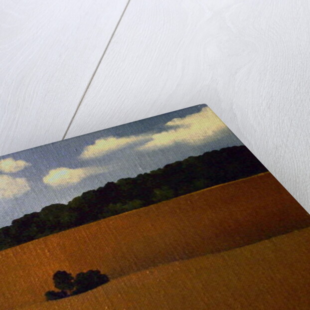 Ploughed Field, 1990 by Ann Brain