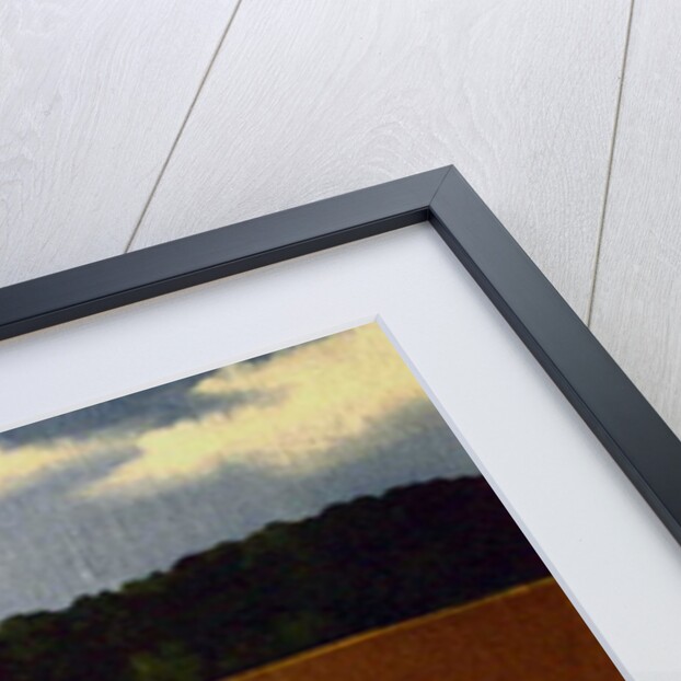 Ploughed Field, 1990 by Ann Brain