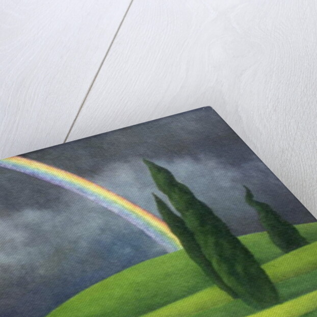 Rainbow, 2000 by Ann Brain