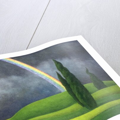 Rainbow, 2000 by Ann Brain