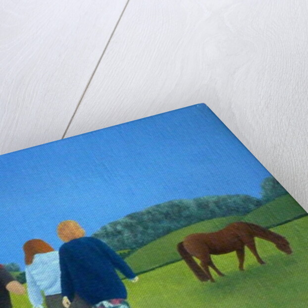 The Wanderers, 1992 by Ann Brain