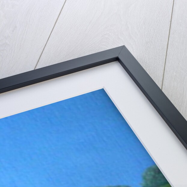 The Wanderers, 1992 by Ann Brain