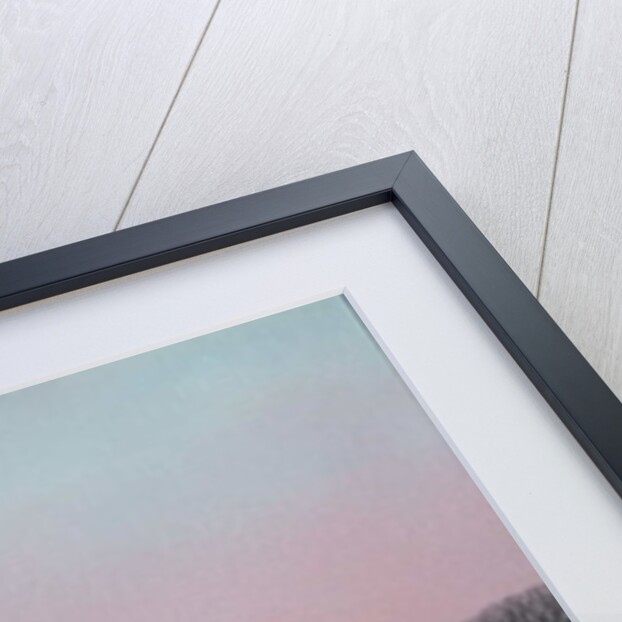 An evening Walk at Brinklow, 2006 by Ann Brain