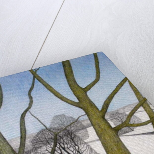 Winters Day, 2013 by Ann Brain